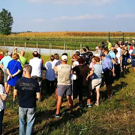 La Dea Lumaca לינה וארוחת בוקר Villareggia