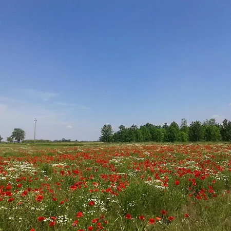 Panzió La Dea Lumaca Villareggia