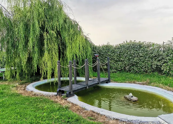 La Dea Lumaca Couette-café